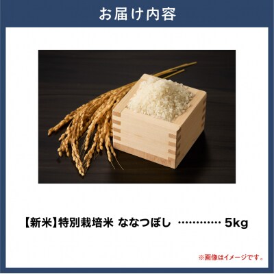 【令和8年度先行受付】大塚農場 特別栽培米ななつぼし　5kg_tb17-010