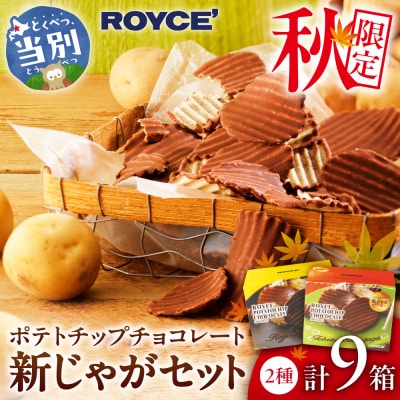 ROYCE'ポテトチップチョコレート[新じゃが]9個セット_tb01-021