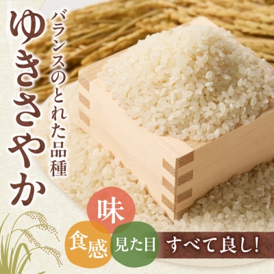 【令和8年度産米】精米ゆきさやか3kg_tb11-027