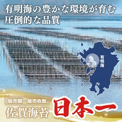 初摘み海苔 K-21(H029126)
