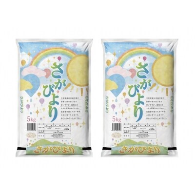 【定期便12ヶ月】10年連続最高評価特A受賞米! さがびより10kg (H015115)