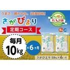 令和4年産【定期便6ヶ月】13年連続最高評価特A受賞米! さがびより10kg (H015113)