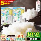 【定期便6ヶ月】令和5年産新米 さがびより10kg (H015132)