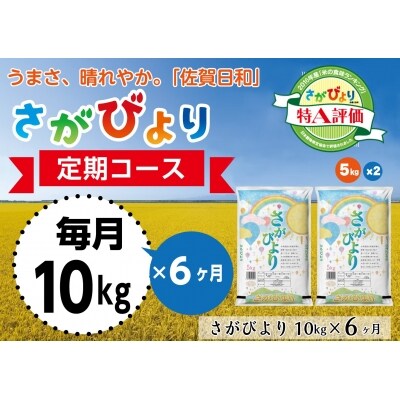【定期便6ヶ月】11年連続最高評価特A受賞米! さがびより10kg (H015113)