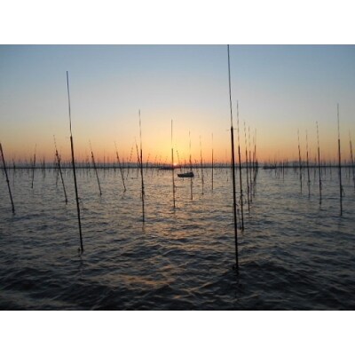 一番摘み佐賀海苔バラ干しセット