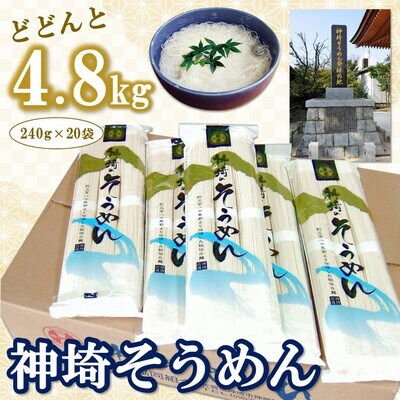 神埼そうめん(240g×20袋) (H020101) | ふるさと納税のお礼品