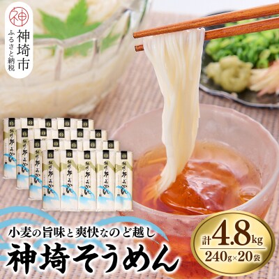 神埼そうめん(240g×20袋) (H020101)