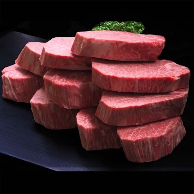 佐賀牛ヒレステーキ200g×10枚【5ヶ月連続定期便】 (H065118)