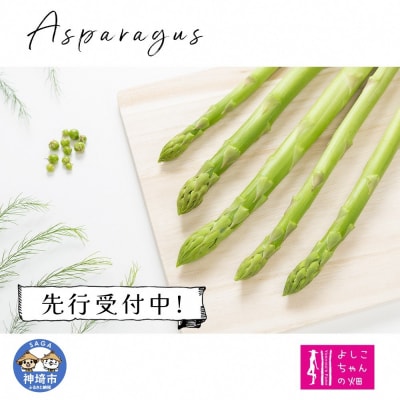 【先行受付 令和8年3月より発送】春芽のアスパラ 1.2kg (H013106)