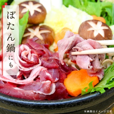 脊振ジビエ イノシシ肉スライスセット ロース&バラ 約600g(H059119)