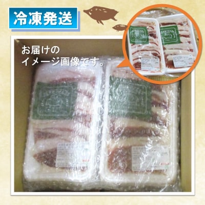 脊振ジビエ イノシシ肉スライスセット ロース&バラ 約600g(H059119)