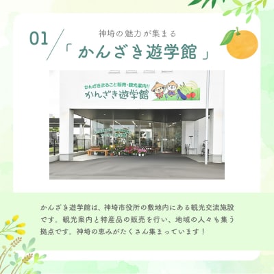 脊振ジビエ 鍋物・カレー用イノシシ肉 約1kg(H059120)