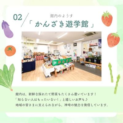 脊振ジビエ 鍋物・カレー用イノシシ肉 約1kg(H059120)