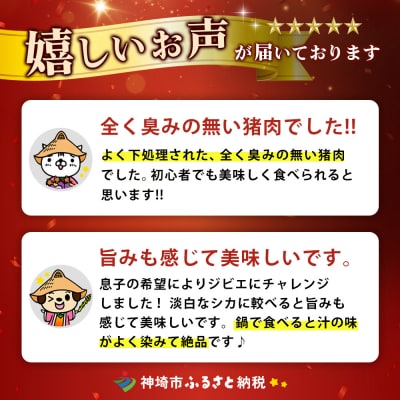 脊振ジビエ 鍋物・カレー用イノシシ肉 約1kg(H059120)