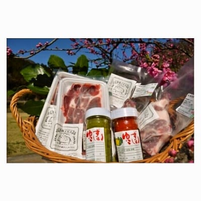 脊振ジビエ 詰め合わせ イノシシ肉約600g&柚子胡椒2本セット(H059121)