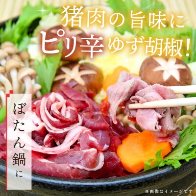 脊振ジビエ 詰め合わせ イノシシ肉約600g&柚子胡椒2本セット(H059121)