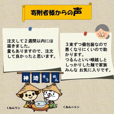佐賀県特産品 神埼そうめん 10入(H014144)