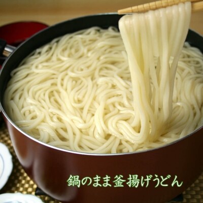 ふっくらモチモチ神埼生うどん 10袋入(H014145)