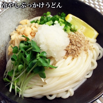 ふっくらモチモチ神埼生うどん 10袋入(H014145)
