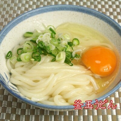ふっくらモチモチ神埼生うどん 10袋入(H014145)