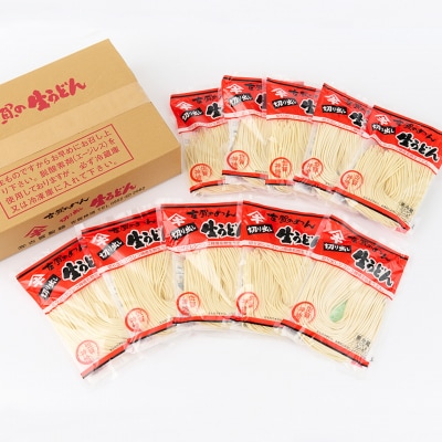 ふっくらモチモチ神埼生うどん 10袋入(H014145)