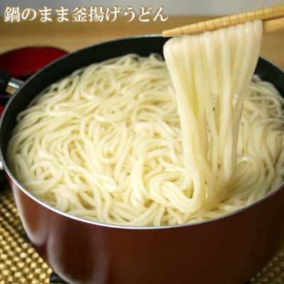 ふっくらモチモチ神埼生うどん 20袋入(H014137)