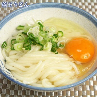 ふっくらモチモチ神埼生うどん 20袋入(H014137)