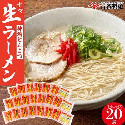 自宅で本格ラーメン・神埼とんこつ生ラーメン 20袋入(H014138)