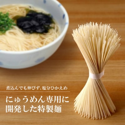 2分30秒でできる『神埼にゅうめん』スープ付 20袋入(H014135)