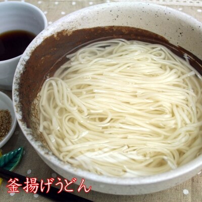 さっとできてさっと食べられる ささっとうどん 20入(H014136)