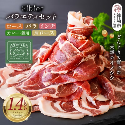 脊振ジビエ イノシシ肉バラエティセット 約1.4kg(H059118)