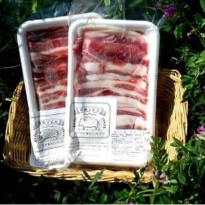 脊振ジビエ イノシシ肉バラエティセット 約1.4kg(H059118)