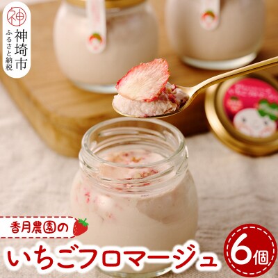 いちごフロマージュ6個セット (H017118)