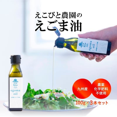 九州産えごま油 100g×3本セット (H037103)