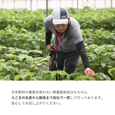 九州産えごま油 100g×3本セット (H037103)