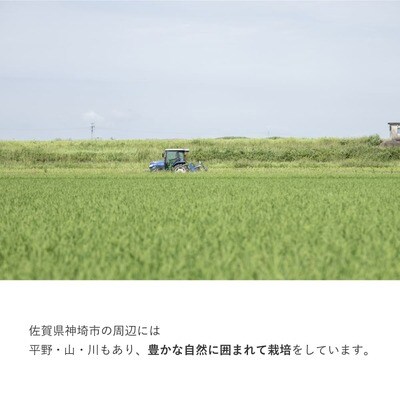 九州産えごま油 100g×3本セット (H037103)