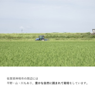 九州産えごま油 100g×3本セット (H037103)