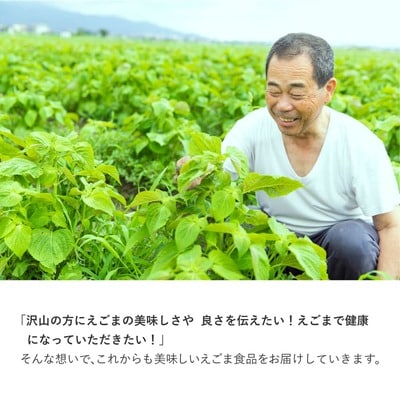 九州産えごま油 100g×3本セット (H037103)