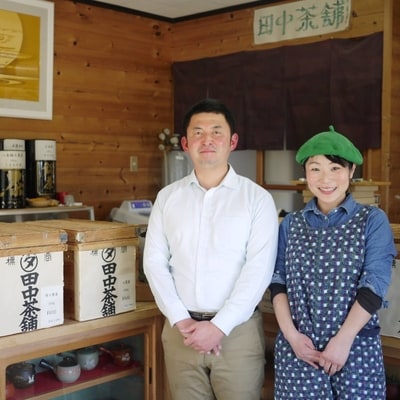 普段使いに「煎茶」200g×4本・茶缶付き (H047102)