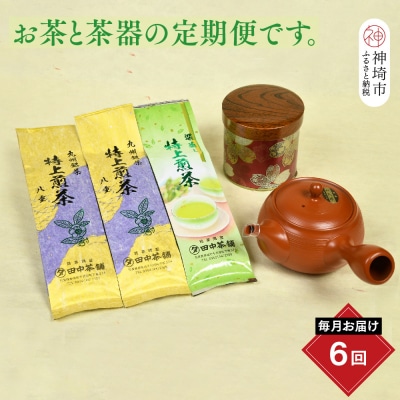 【毎月お届け6回】特上煎茶八重2本と季節のお茶1本(合計100g×3本) (H047104)