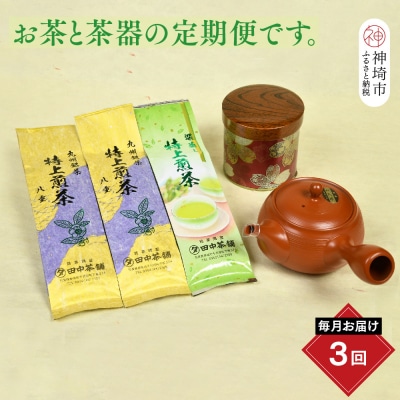 【毎月お届け3回】特上煎茶八重2本と季節のお茶1本(合計100g×3本) (H047105)