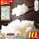 【新米先行受付開始!】令和5年産 さがびより 10kg(H015130)