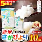 【令和7年産 新米】さがびより 精米 10kg(H015198)