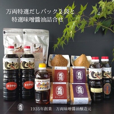 九州醤油調味料ギフトといろいろ詰合せ(かけ醤油入)(H-1) 【お歳暮