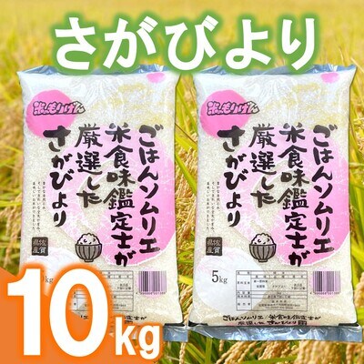 ごはんソムリエが厳選 さがびより10kg(令和4年産)(H063103)