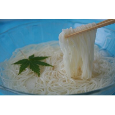 【毎月お届け3回】毎月変わる神埼の麺とお茶3本 (H047110)