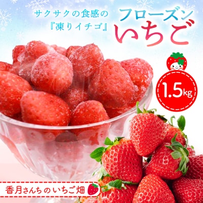 フローズンいちご 1.5kg (H017122)
