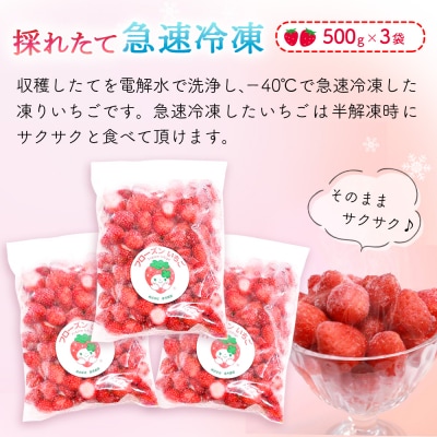 フローズンいちご 1.5kg (H017122)