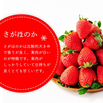 フローズンいちご 1.5kg (H017122)