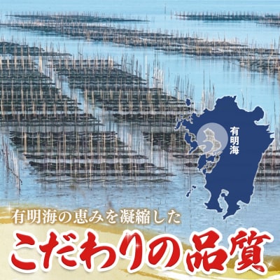 【隔月3回定期便】初摘み海苔 BK-375(H029127)